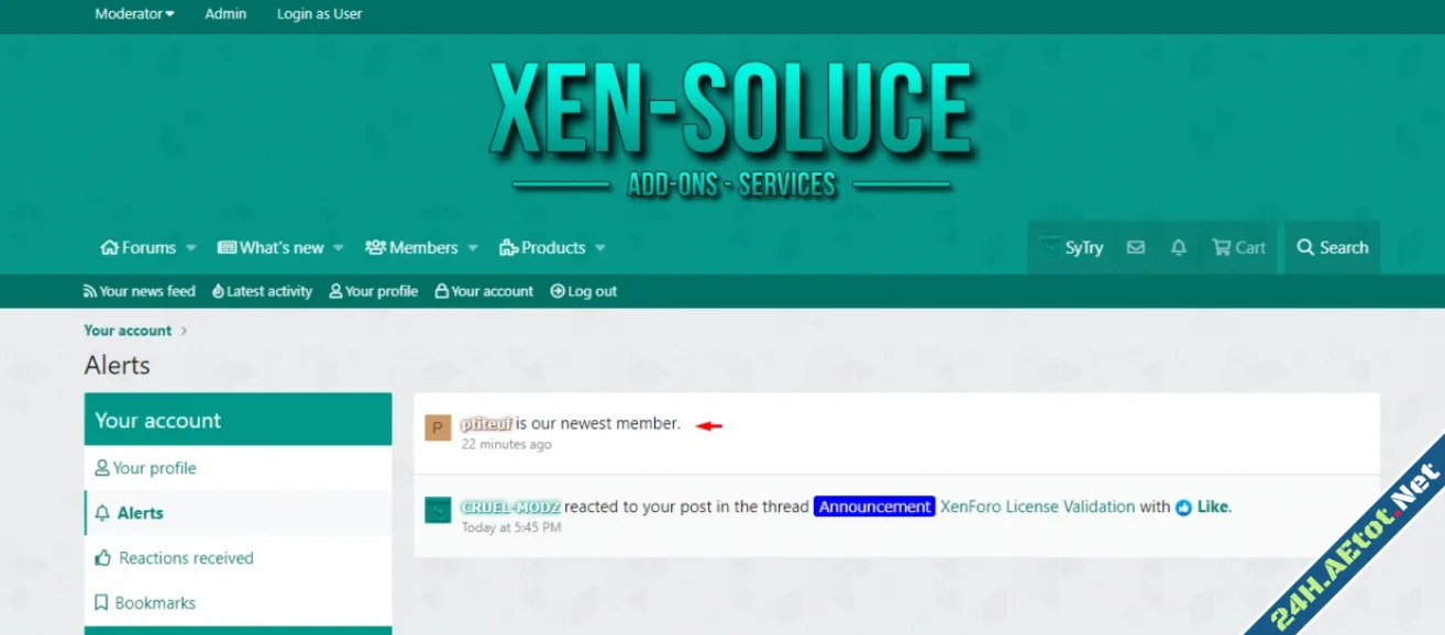 1747069302019.webp