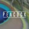 DohTheme - Peacock