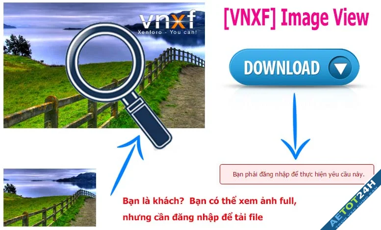 VNXF 2x Image View-1.webp